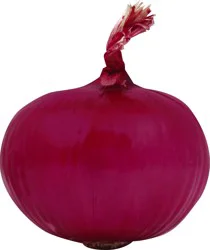 Onion 1 ea