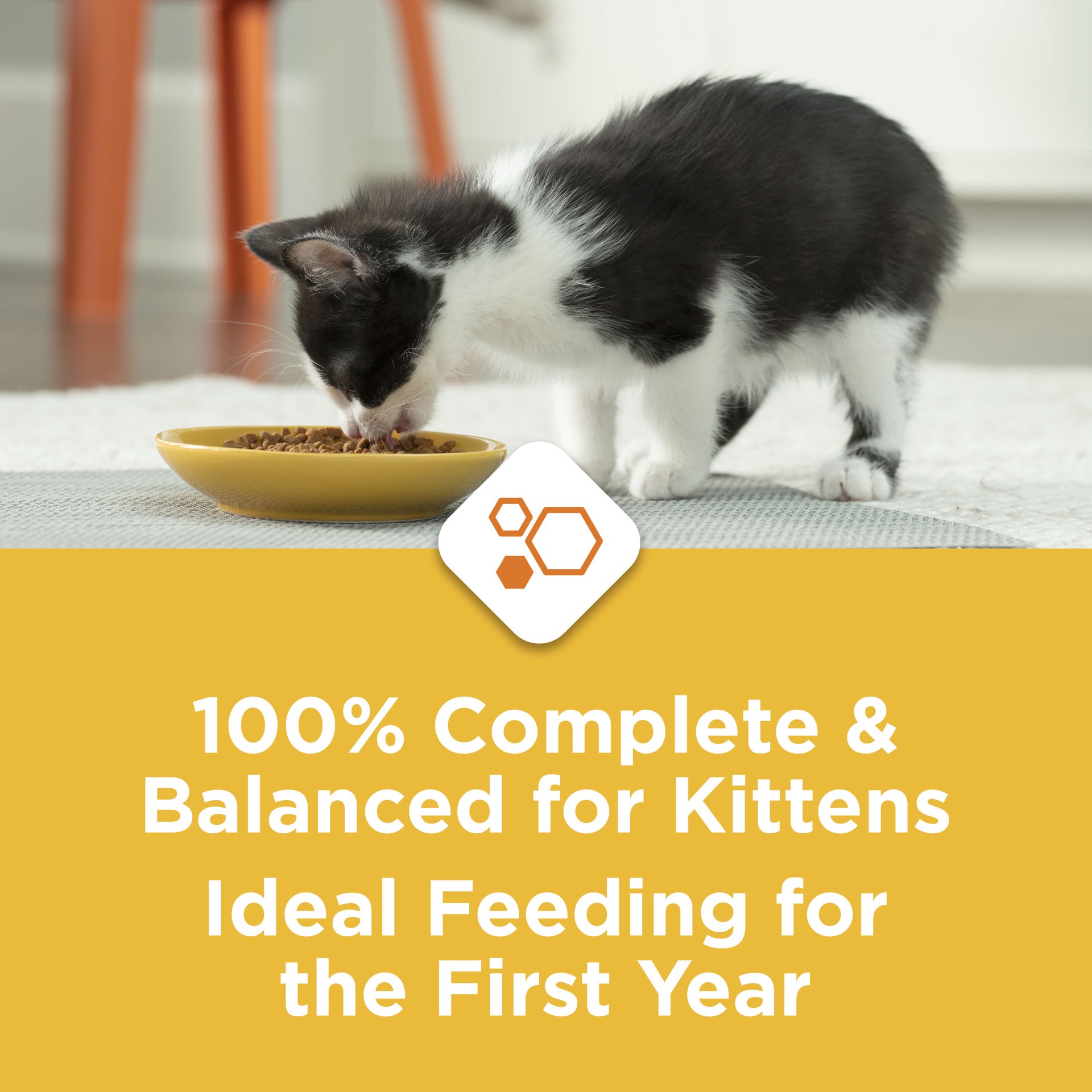 slide 3 of 9, Kitten Chow Purina Kitten Chow Kitten Food Healthy Development with Real Chicken Dry Kitten Food, 3.15 lb