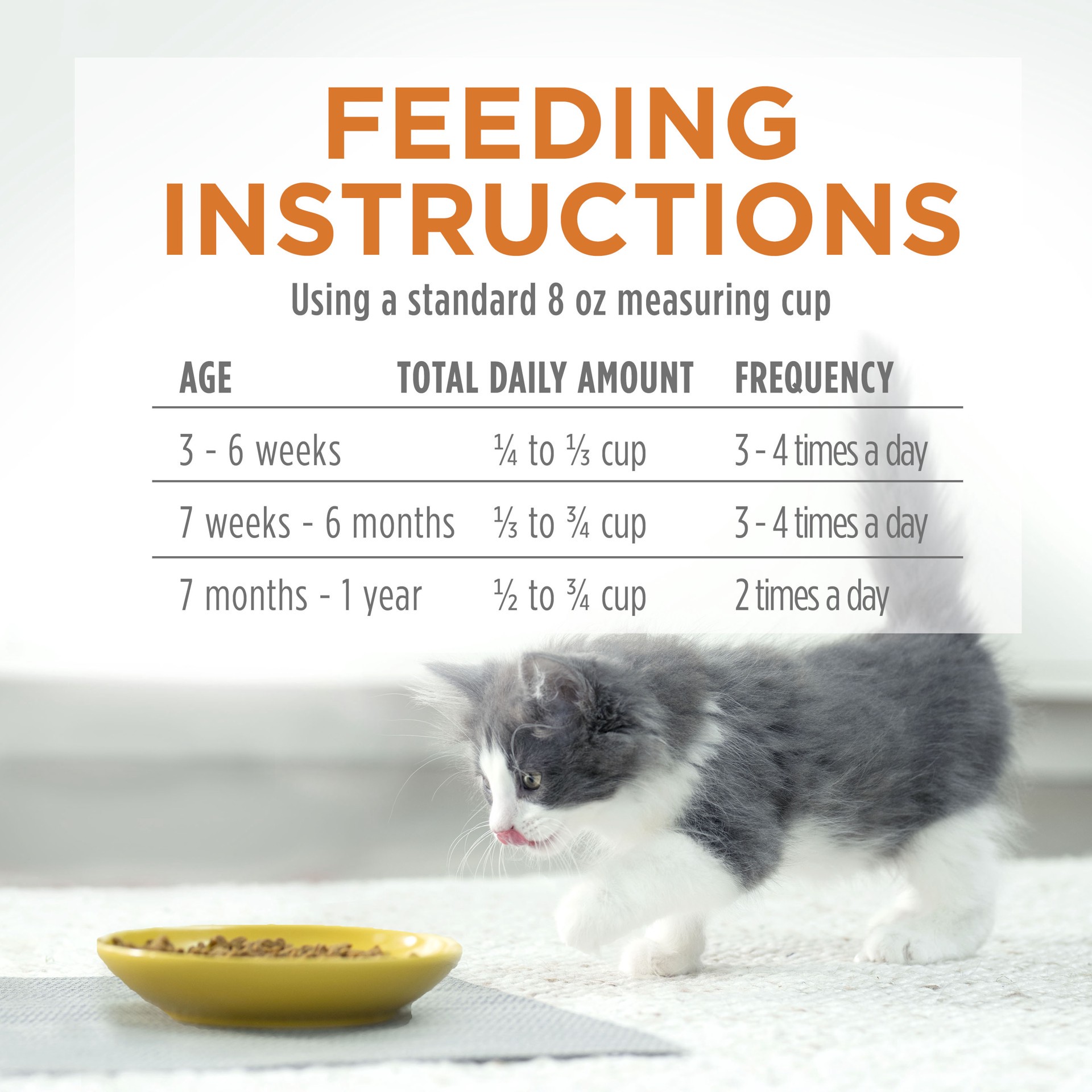 slide 8 of 9, Kitten Chow Purina Kitten Chow Kitten Food Healthy Development with Real Chicken Dry Kitten Food, 3.15 lb