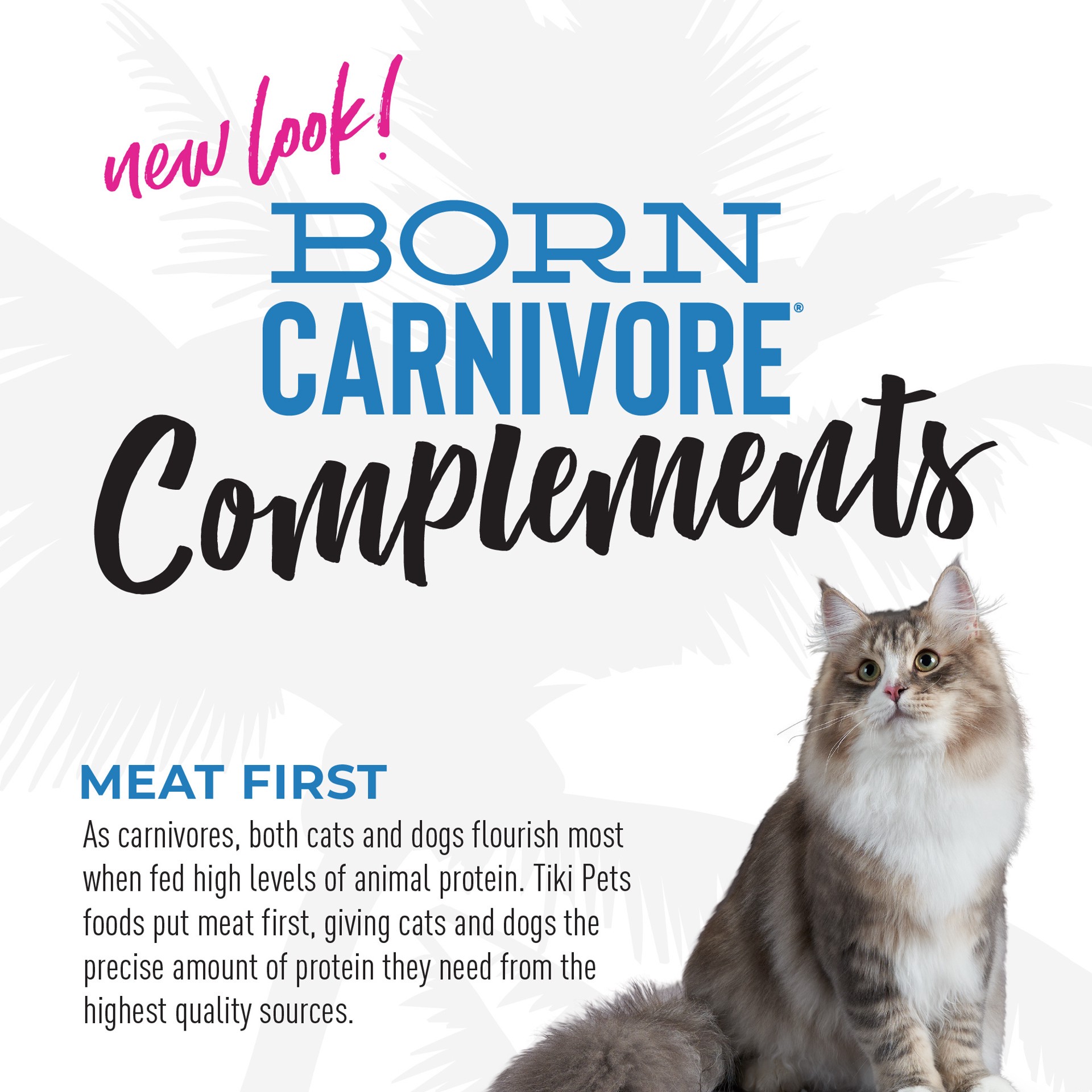 slide 8 of 8, Tiki Cat Born Carnivore Complements Wet Cat Food Topper, Variety Pack, 2.1 oz. Cups (10 Count), 10 ct