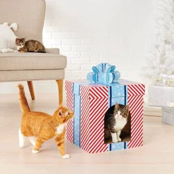 Present Cat Scratcher - 19.88" - Wondershop™