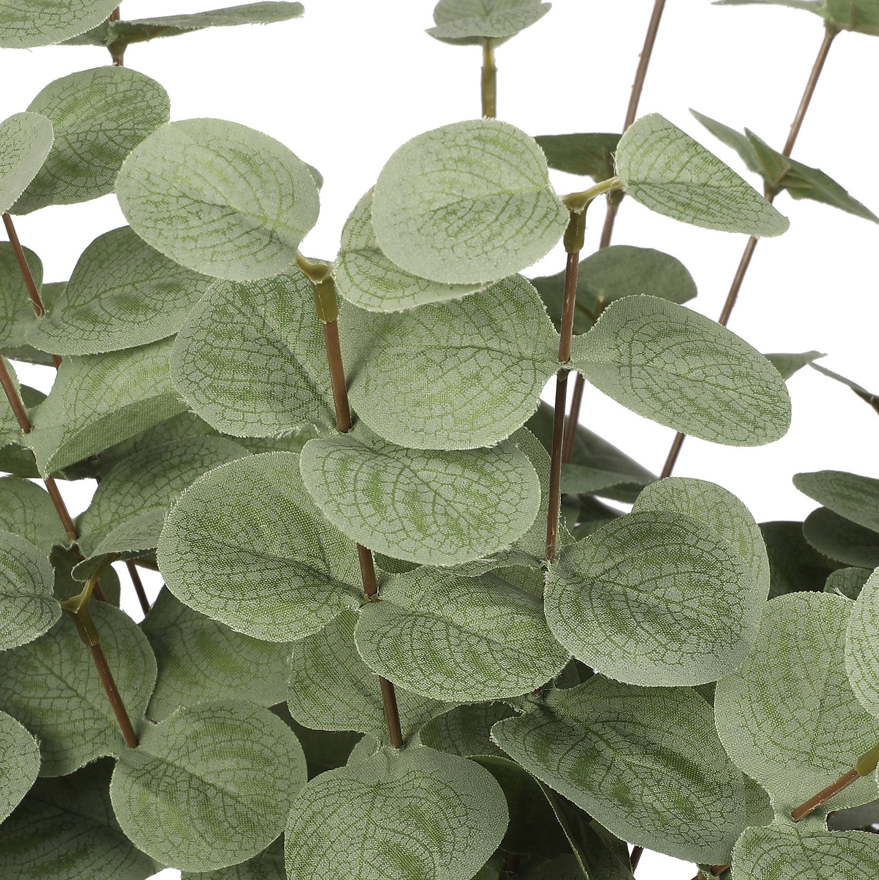 slide 2 of 2, 18" Eucalyptus Bush By Ashland, 9 in x 6 in x 18 in