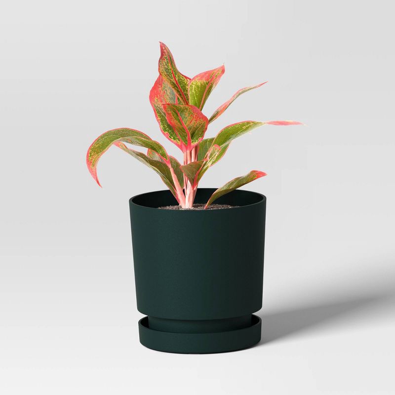 slide 3 of 4, 2pc Recycled Resin Indoor Outdoor Planter Pots Green 4"x4"x4" - Room Essentials™, 2 ct