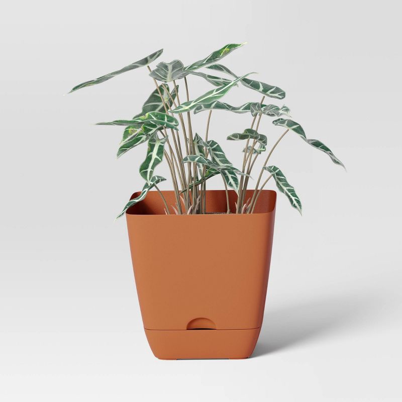 slide 3 of 4, Square Self-Watering Plastic Indoor Outdoor Planter Pot Orange 6"x6" - Room Essentials™, 1 ct