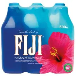 FIJI Water FIJI Natural Artesian Water - 6pk/16.9 fl oz Bottles