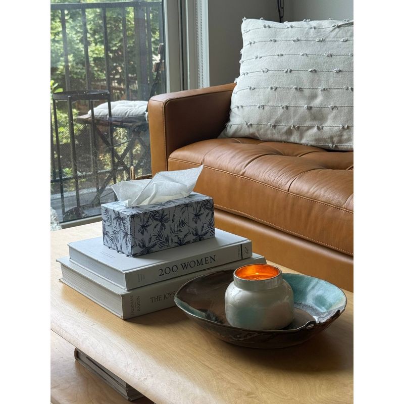 slide 10 of 10, Candid 3-Ply Bamboo Facial Tissue - 3pk/402ct, 3 ct, 402 ct