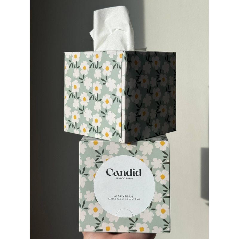 slide 2 of 5, Candid 3-Ply Bamboo Facial Tissue - 66ct, 66 ct