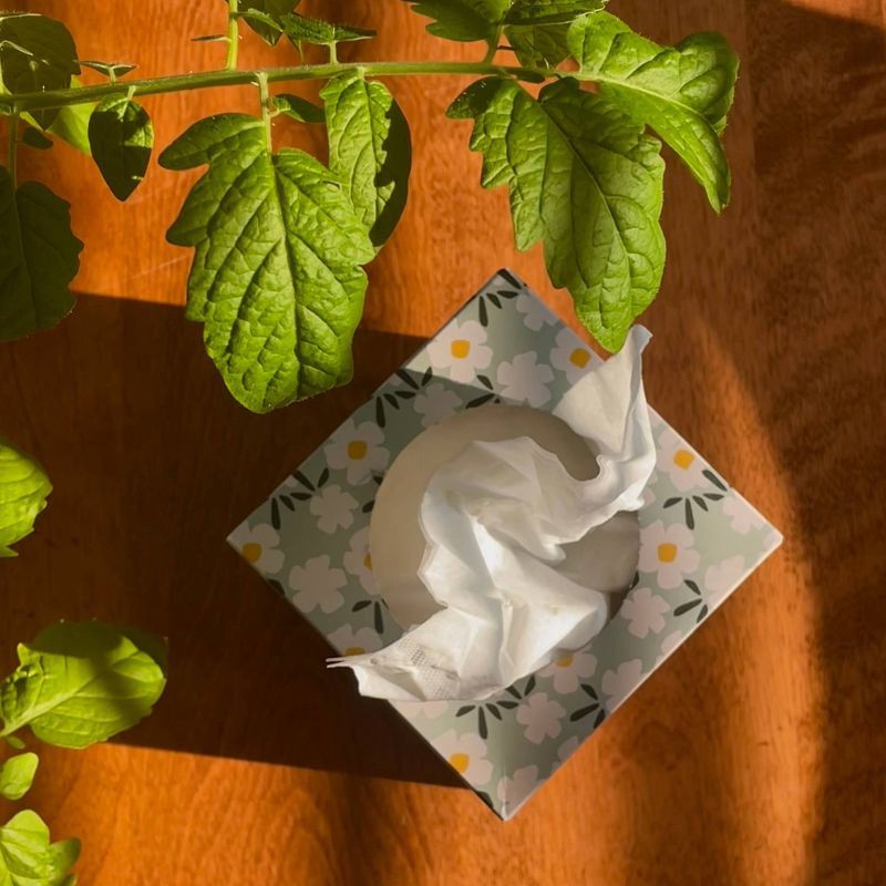 slide 5 of 5, Candid 3-Ply Bamboo Facial Tissue - 66ct, 66 ct