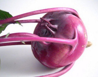 slide 1 of 1, Purple Kohlrabi, 1 ct