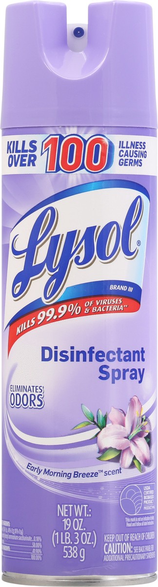 slide 1 of 3, Lysol Early Morning Breeze Scent Disinfectant Spray 19 oz, 19 oz