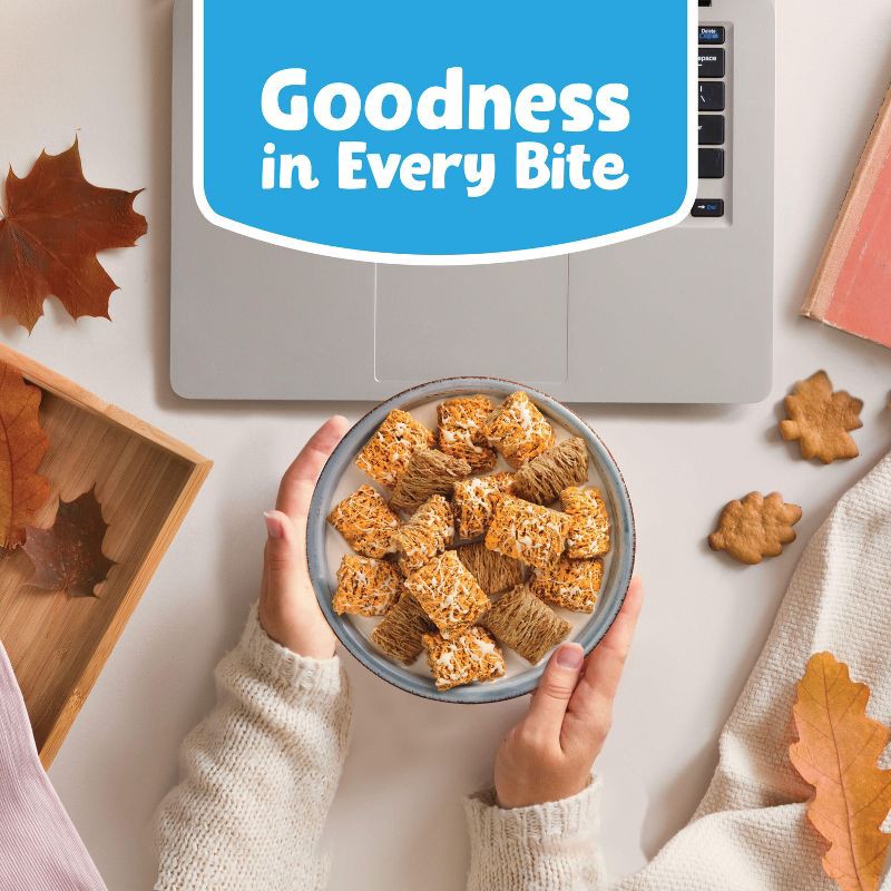 slide 8 of 11, Kellogg's Frosted Mini-Wheats Pumpkin Spice Breakfast Cereal - 20oz, 20 oz