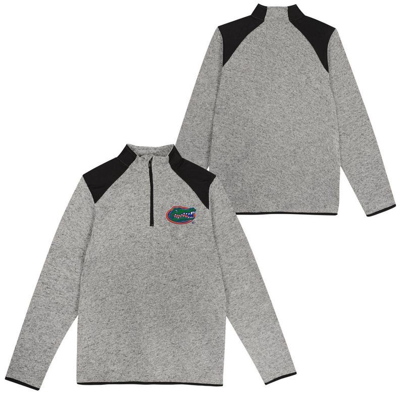 slide 1 of 3, NCAA Florida Gators Boys' Sweater Fleece Sweatshirt - L: Team Logo Pullover, Kids Sportswear, 1 ct