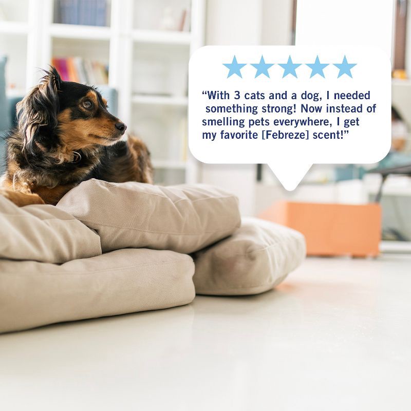 slide 6 of 14, Febreze Luxe Plug Dual Refill Air Freshener - Crisp Fall Breeze - 1.75 fl oz/2ct, 1.75 fl oz, 2 ct