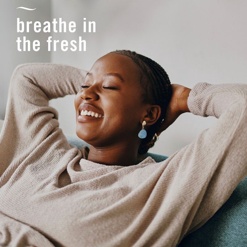 slide 7 of 14, Febreze Luxe Plug Dual Refill Air Freshener - Crisp Fall Breeze - 1.75 fl oz/2ct, 1.75 fl oz, 2 ct