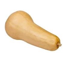 Butternut Squash