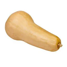 Butternut Squash