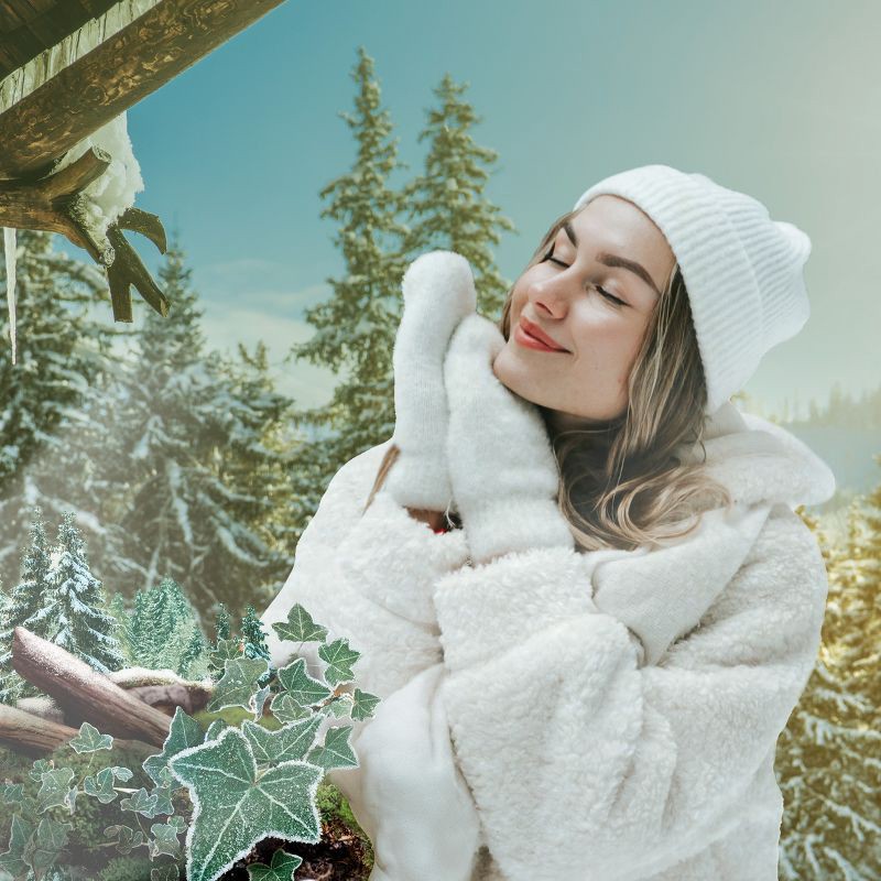 slide 2 of 10, Air Wick Essential Mist Refills - Winter Woods & Frosted Ivy - 0.67 fl oz, 0.67 fl oz