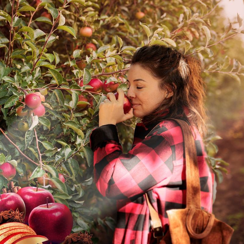 slide 2 of 10, Air Wick 0.67 fl oz Essential Mist - Warm Apple & Cinnamon, 0.67 fl oz