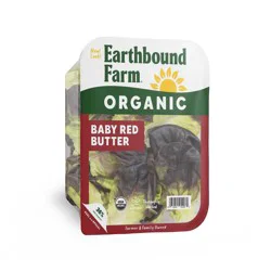 Earthbound Farm Organic Baby Red Butter Lettuce - 5oz