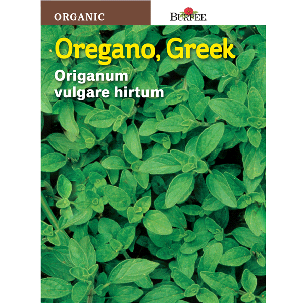 slide 1 of 1, Burpee Organic Herb Oregano Greek Seeds, 1 ct