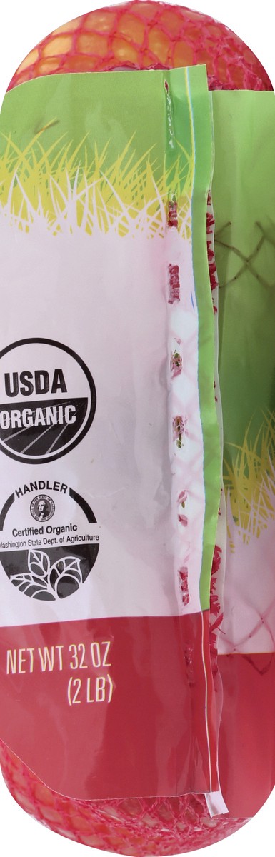 slide 5 of 9, Wild Harvest Organic Gala Apple, 2 lb