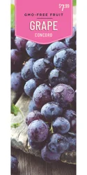 Grape Seedless Concord 1Ct
