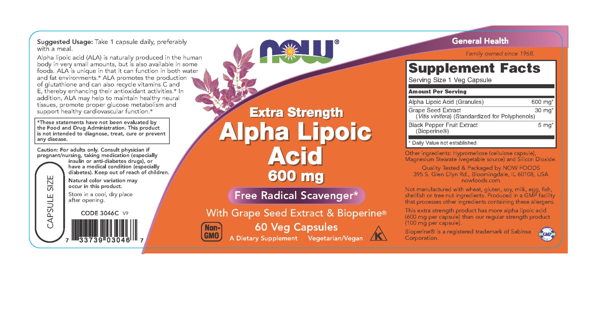 NOW Alpha Lipoic Acid 600 mg Vegetable Capsules 60 ct | Shipt