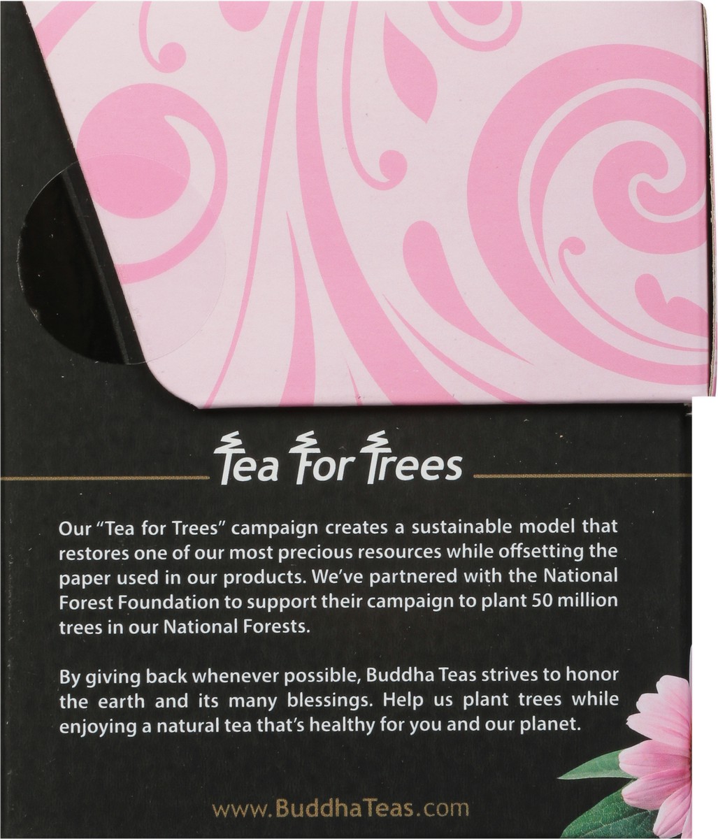 slide 6 of 9, Buddha Teas Echinacea Elderberry Blend 1 ea, 18 ct