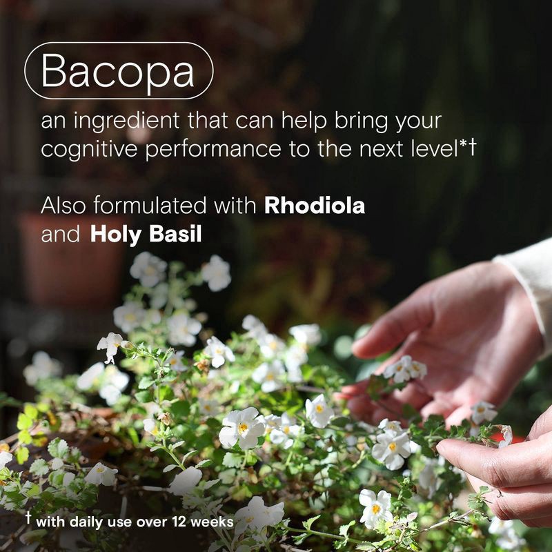 slide 5 of 7, One A Day Cognitive Support with Bacopa and Rhodiola 30 Capsules, 30 ct