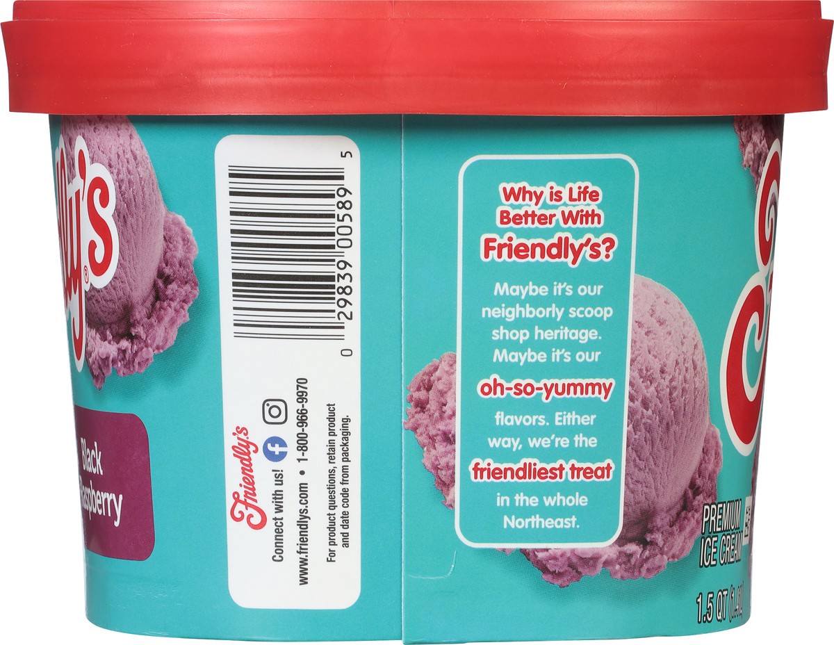 slide 8 of 9, Friendly's Black Raspberry Ice Cream, 48 fl oz