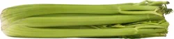 Fresh Celery Hearts