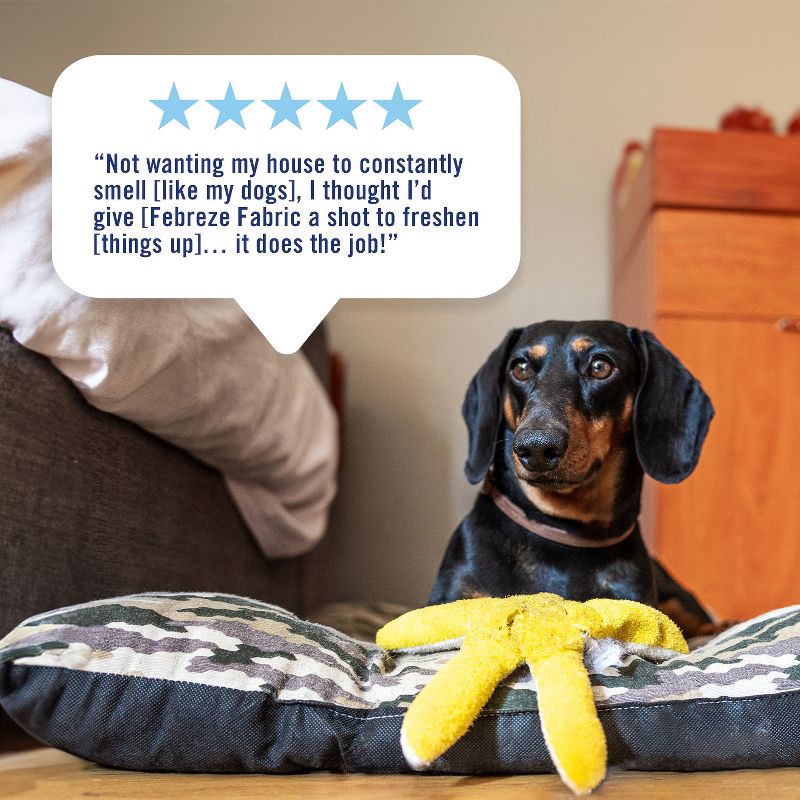 slide 9 of 12, Febreze Fabric Air Freshener - Romance & Desire - 23.6 fl oz, 23.6 fl oz