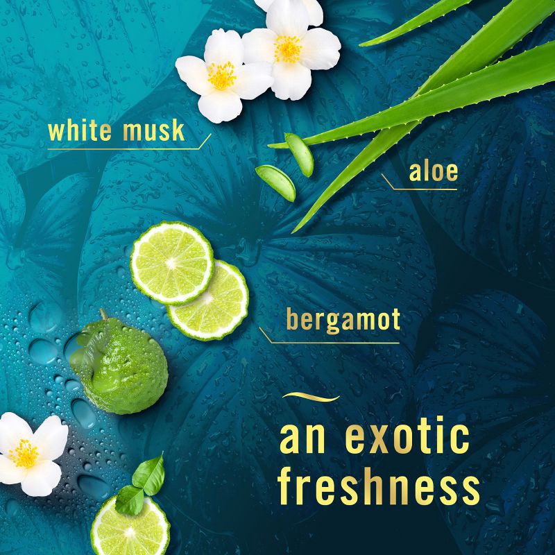 slide 4 of 9, Febreze Luxe Air Mist - Rainforest - 8.8oz, 8.8 oz