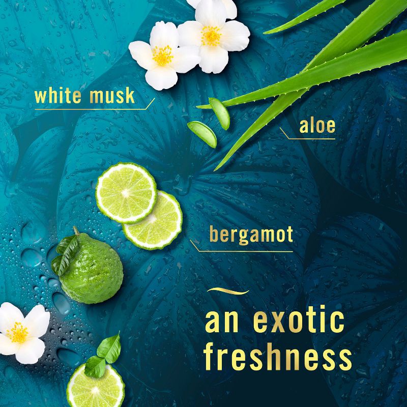 slide 5 of 11, Febreze Luxe Air Mist Odor-Fighting Air Freshener - Rainforest - 8.1oz, 8.8 oz