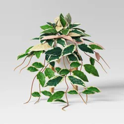 13" Trailing Plant in Wood Planter - Threshold™