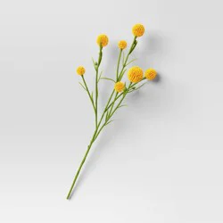Craspedia Mini Stem Yellow - Room Essentials™