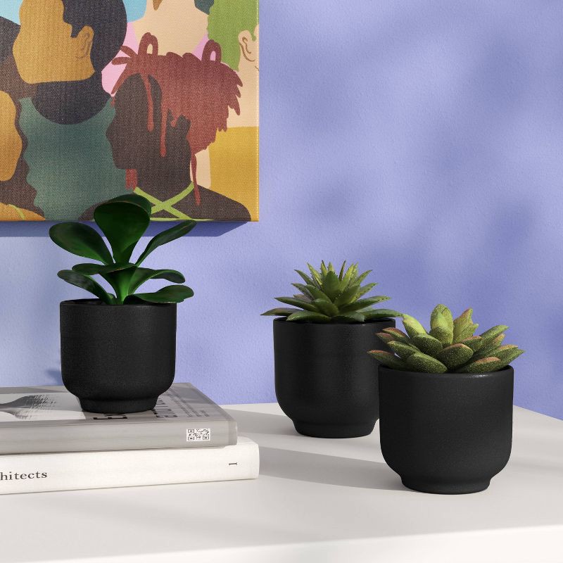 slide 2 of 6, Succulent Multipack - Room Essentials™, 1 ct