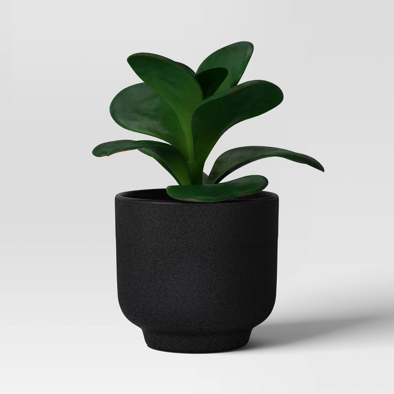 slide 3 of 6, Succulent Multipack - Room Essentials™, 1 ct