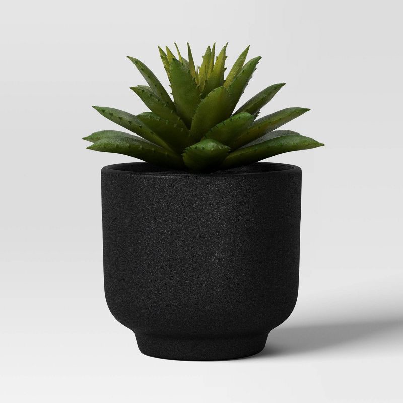 slide 4 of 6, Succulent Multipack - Room Essentials™, 1 ct