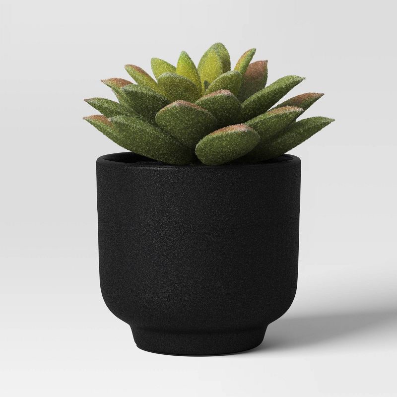 slide 5 of 6, Succulent Multipack - Room Essentials™, 1 ct