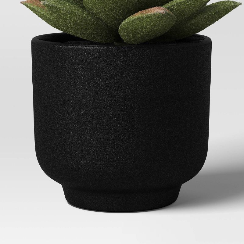 slide 6 of 6, Succulent Multipack - Room Essentials™, 1 ct