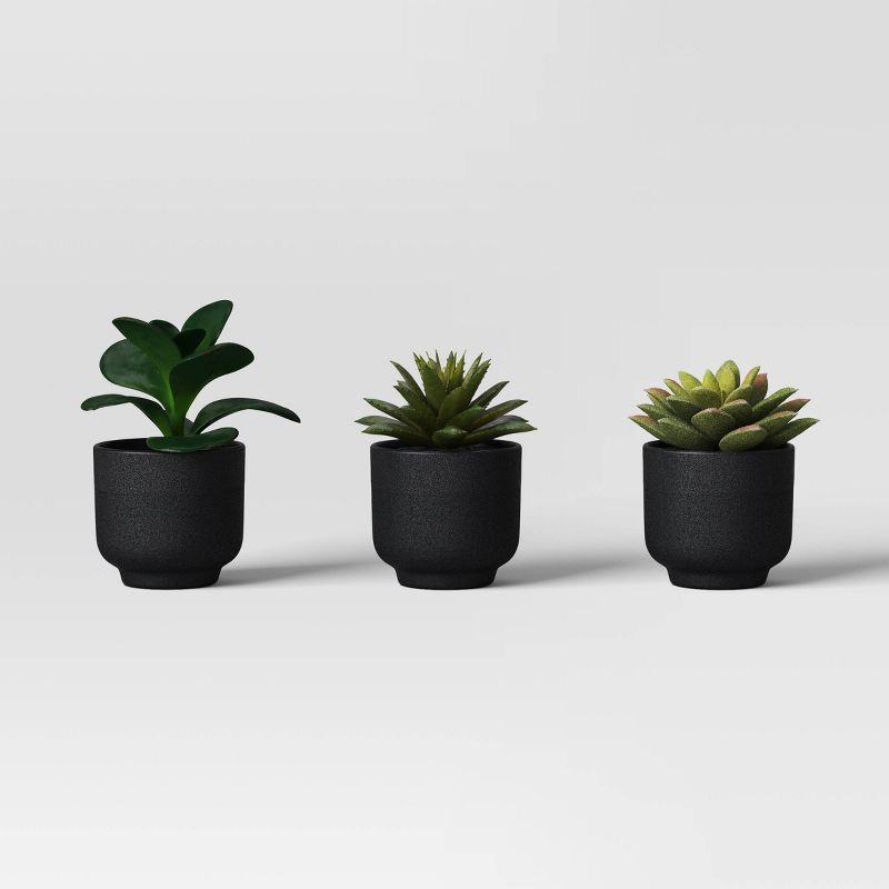 slide 1 of 6, Succulent Multipack - Room Essentials™, 1 ct