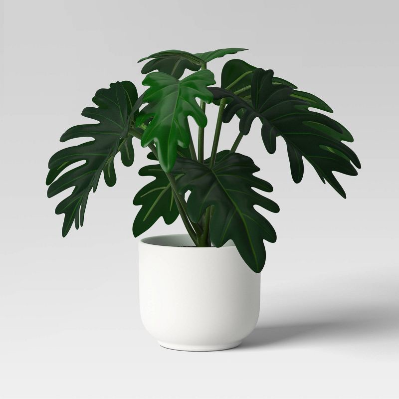 slide 5 of 6, Core Plant Multipack in White Pot - Room Essentials™, 1 ct