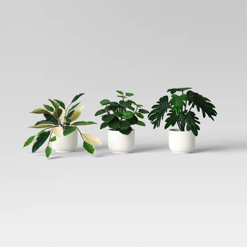 slide 1 of 6, Core Plant Multipack in White Pot - Room Essentials™, 1 ct