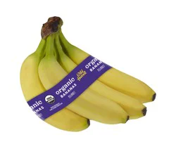 Wild Harvest Organic Bananas