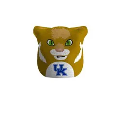 NCAA Kentucky Wildcats Plushie Mascot Pillow
