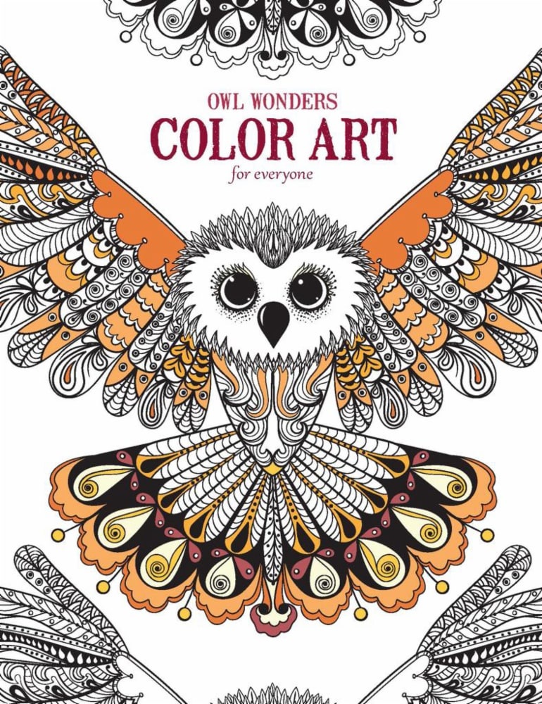 slide 1 of 1, Leisure Arts Owl Wonders Color Art For Everyone Coloring Book, 1 ct