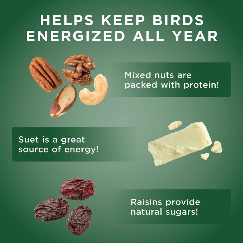 slide 3 of 8, Audubon Park 9.5oz Woodpecker Wild Bird Suet, 9.5 oz