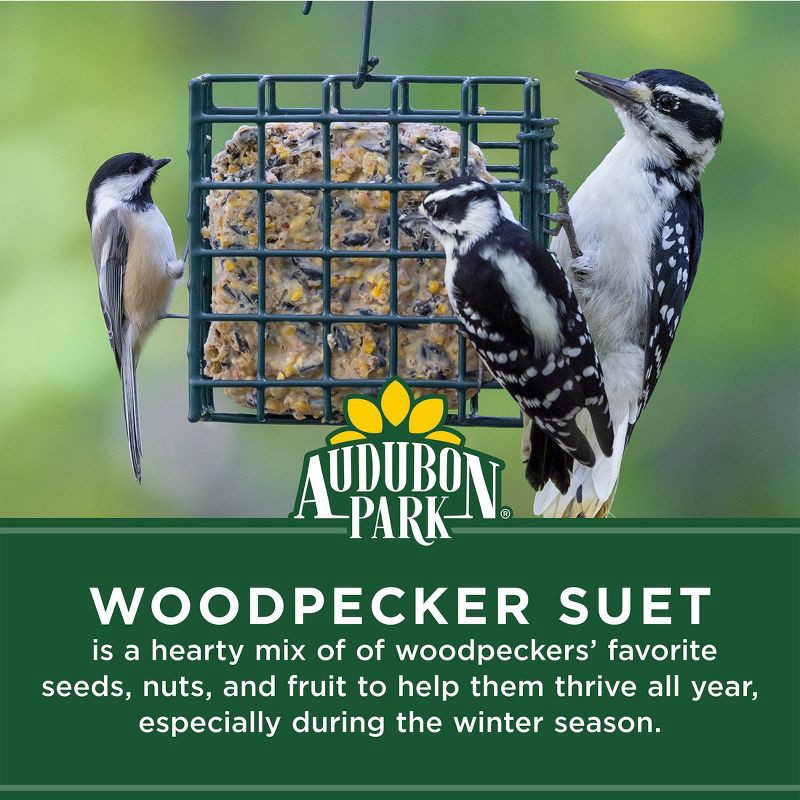 slide 4 of 8, Audubon Park 9.5oz Woodpecker Wild Bird Suet, 9.5 oz