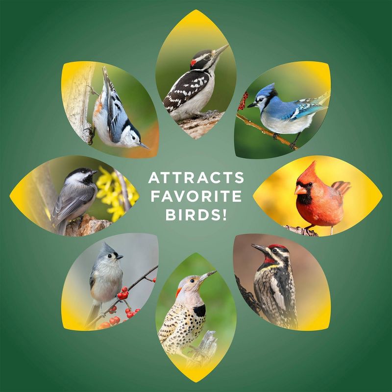 slide 5 of 8, Audubon Park 9.5oz Woodpecker Wild Bird Suet, 9.5 oz